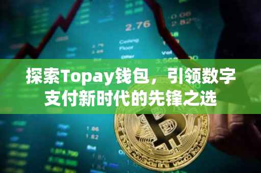 探索Topay钱包，引领数字支付新时代的先锋之选