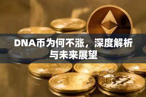 DNA币为何不涨，深度解析与未来展望