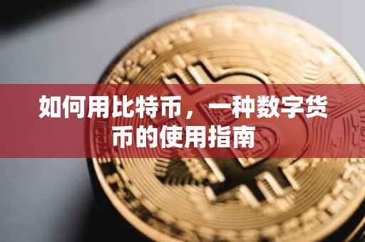 如何用比特币，一种数字货币的使用指南