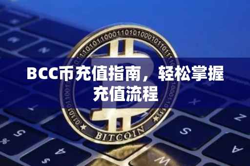 BCC币充值指南，轻松掌握充值流程