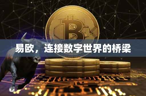 易欧，连接数字世界的桥梁