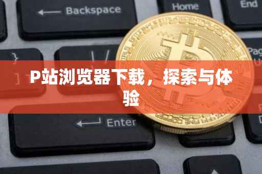 P站浏览器下载，探索与体验