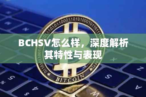 BCHSV怎么样，深度解析其特性与表现