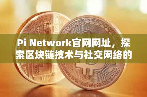 Pi Network官网网址，探索区块链技术与社交网络的融合之旅