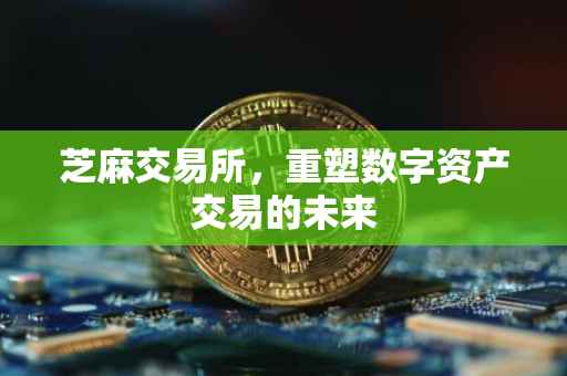 芝麻交易所，重塑数字资产交易的未来