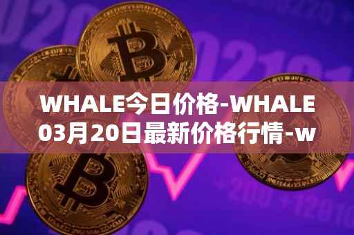 WHALE今日价格-WHALE03月20日最新价格行情-whale最新走势消息