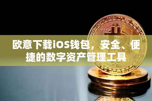 欧意下载iOS钱包，安全、便捷的数字资产管理工具