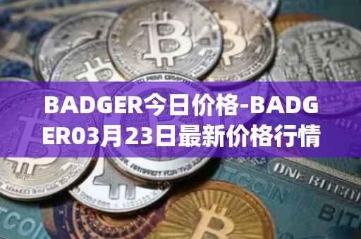 BADGER今日价格-BADGER03月23日最新价格行情-badger-dao最新走势消息