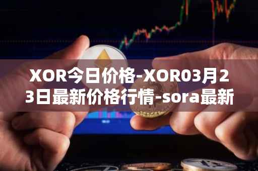XOR今日价格-XOR03月23日最新价格行情-sora最新走势消息