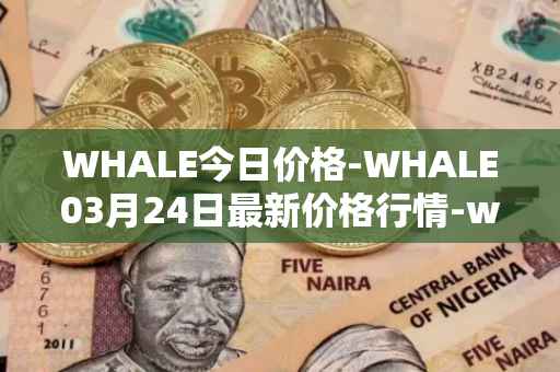 WHALE今日价格-WHALE03月24日最新价格行情-whale最新走势消息