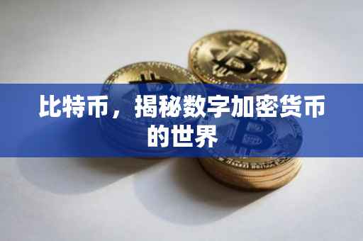 比特币，揭秘数字加密货币的世界