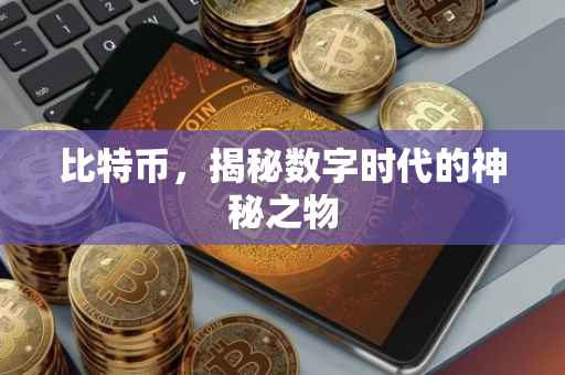 比特币，揭秘数字时代的神秘之物