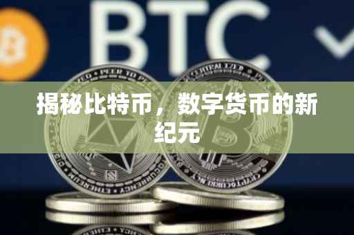 揭秘比特币，数字货币的新纪元