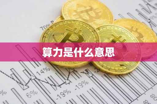 算力是什么意思