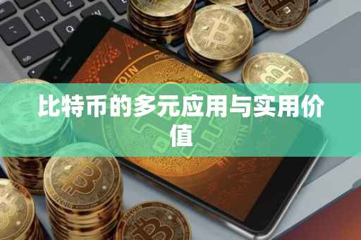 比特币的多元应用与实用价值