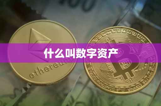 什么叫数字资产