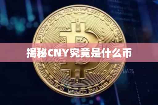 揭秘CNY究竟是什么币
