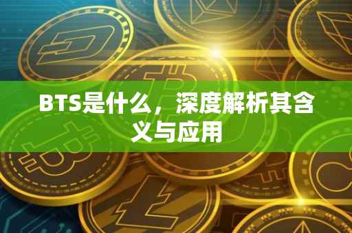BTS是什么，深度解析其含义与应用