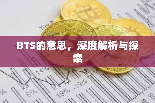 BTS的意思，深度解析与探索