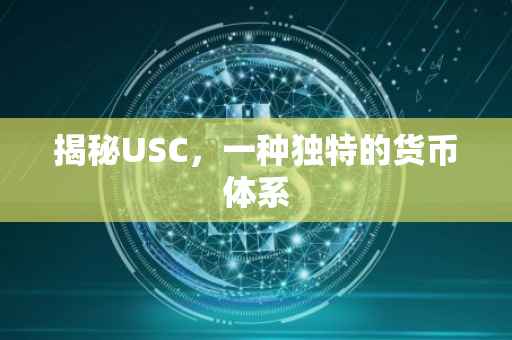 揭秘USC，一种独特的货币体系