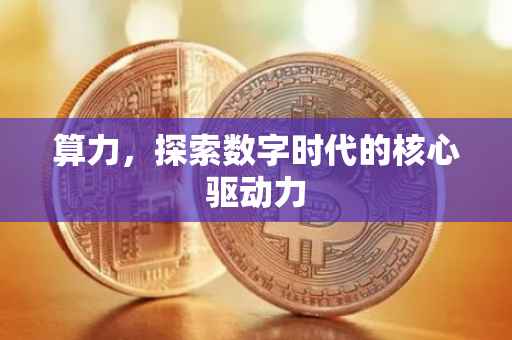 算力，探索数字时代的核心驱动力
