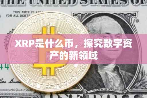 XRP是什么币，探究数字资产的新领域