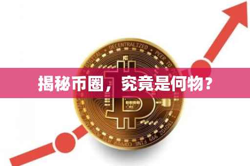 揭秘币圈，究竟是何物？