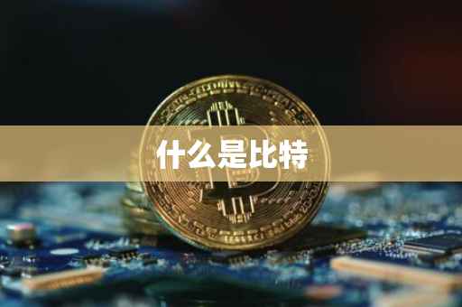 什么是比特
