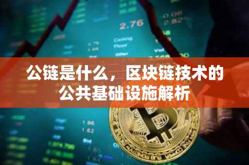 公链是什么，区块链技术的公共基础设施解析