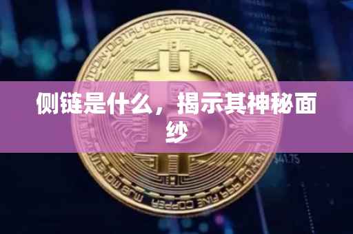 侧链是什么，揭示其神秘面纱