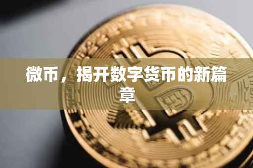 微币，揭开数字货币的新篇章