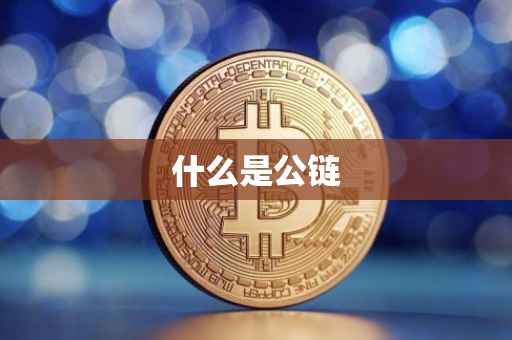 什么是公链