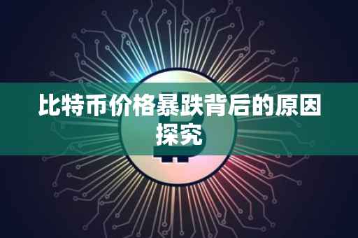 比特币价格暴跌背后的原因探究
