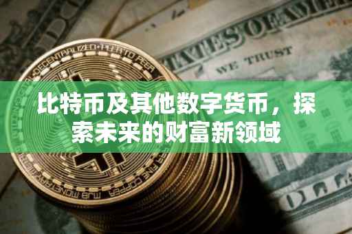 比特币及其他数字货币，探索未来的财富新领域