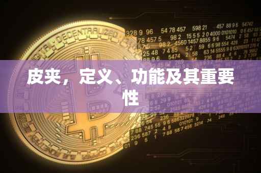 皮夹，定义、功能及其重要性