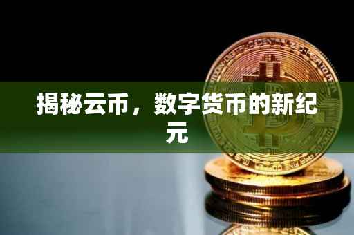 揭秘云币，数字货币的新纪元