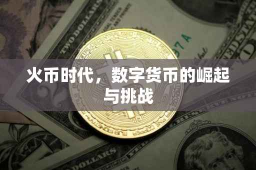 火币时代，数字货币的崛起与挑战