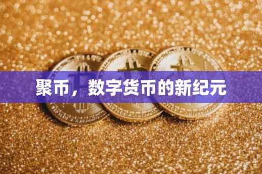 聚币，数字货币的新纪元