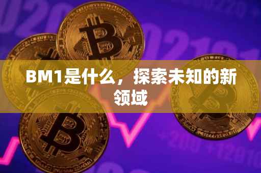 BM1是什么，探索未知的新领域