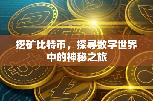 挖矿比特币，探寻数字世界中的神秘之旅