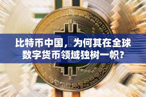 比特币中国，为何其在全球数字货币领域独树一帜？
