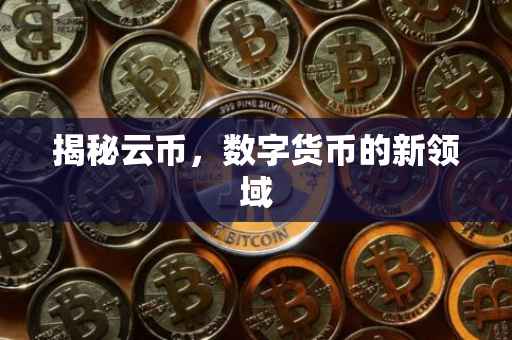 揭秘云币，数字货币的新领域