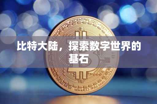 比特大陆，探索数字世界的基石