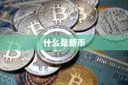 什么是新币