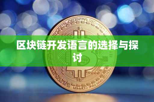 区块链开发语言的选择与探讨