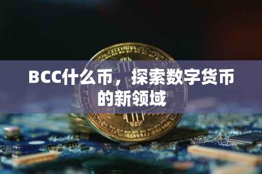 BCC什么币，探索数字货币的新领域