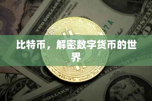 比特币，解密数字货币的世界