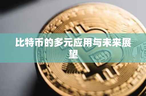 比特币的多元应用与未来展望
