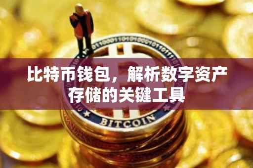 比特币钱包，解析数字资产存储的关键工具