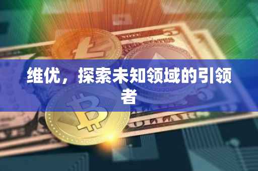 维优，探索未知领域的引领者